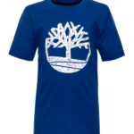 T-Shirt chłopięcy Timberland T25S34 Niebieski