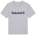 T-Shirt chłopięcy Timberland T25P22/A32 Szary